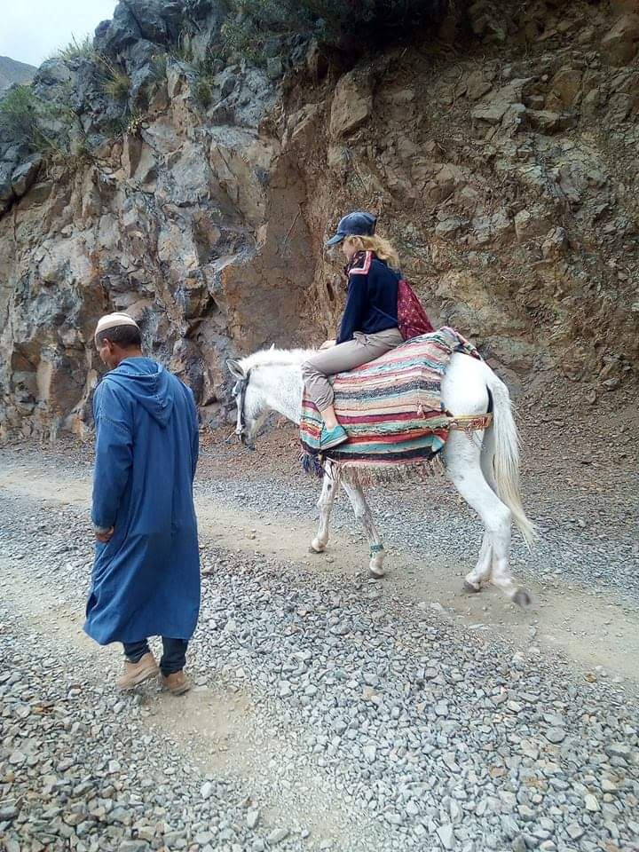 Traditional mule trekking experience
