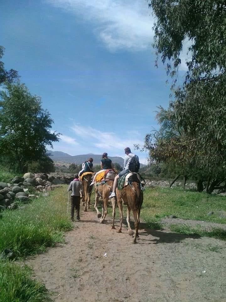 Village camel trekking adventure